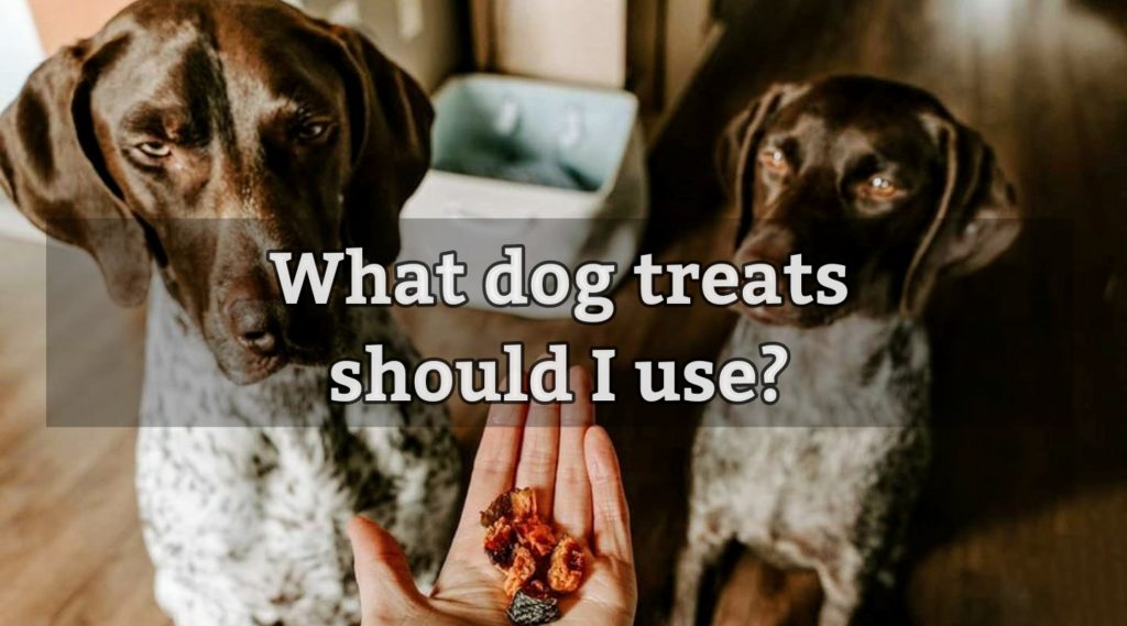 What dog treats should I use